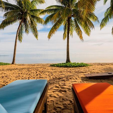 Coconut Row Boutique Hotel ホプキンズ エクステリア 写真
