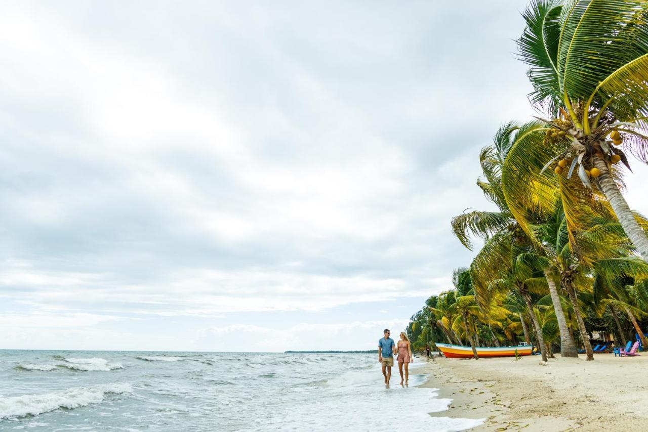Coconut Row Boutique Hotel ホプキンズ エクステリア 写真