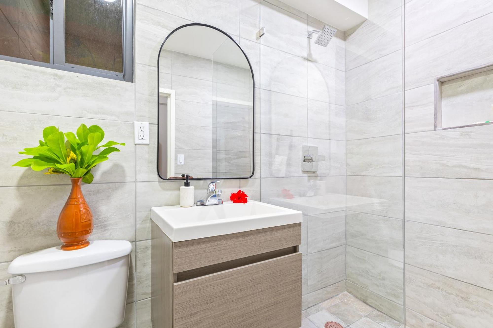 Coconut Row Boutique Hotel ホプキンズ 部屋 写真