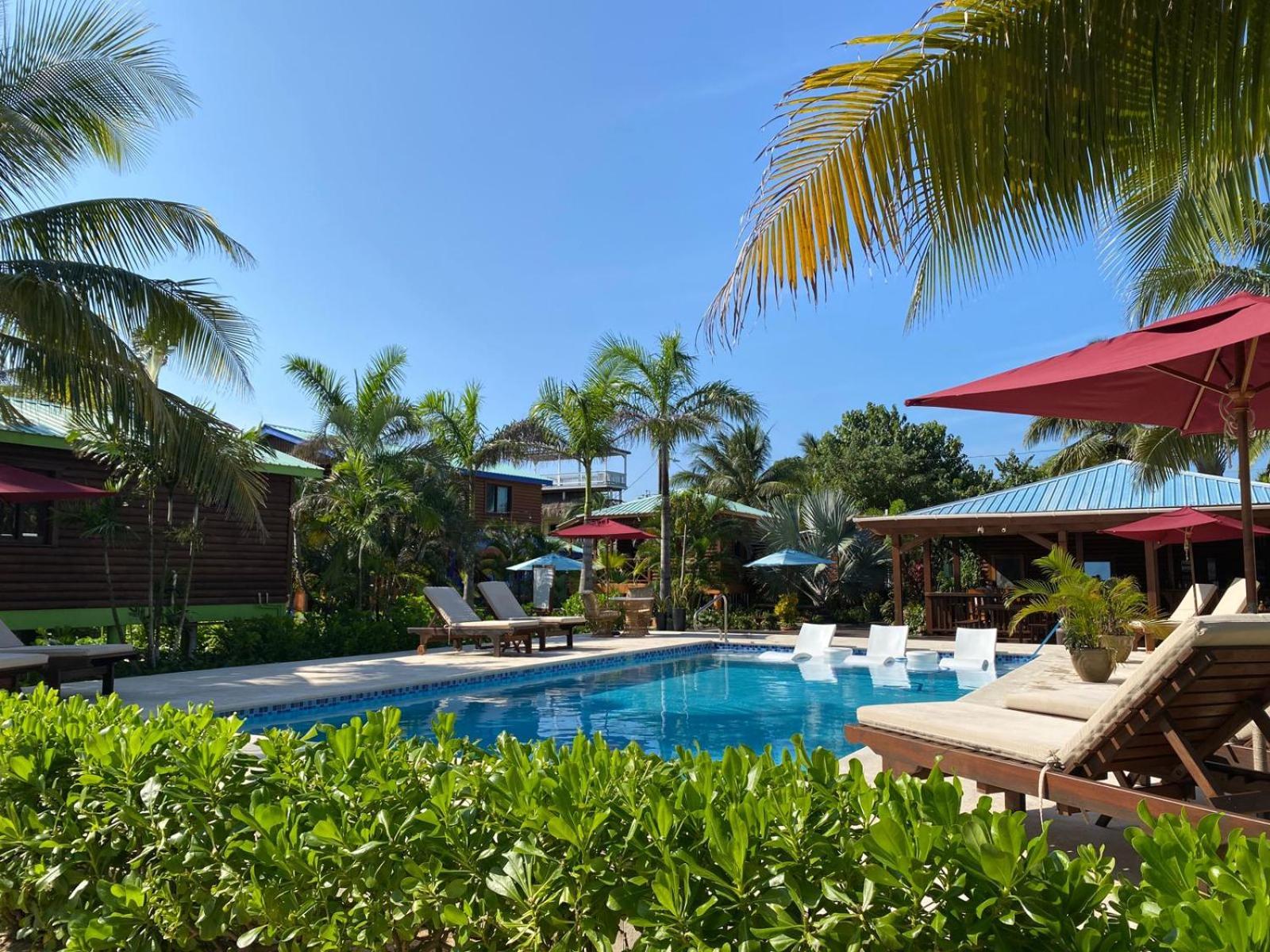 Coconut Row Boutique Hotel ホプキンズ エクステリア 写真