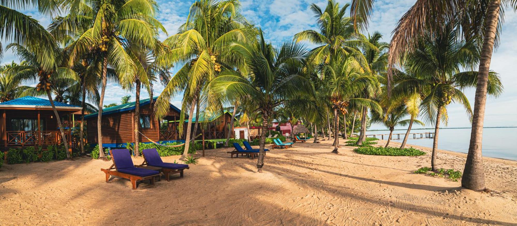Coconut Row Boutique Hotel ホプキンズ エクステリア 写真
